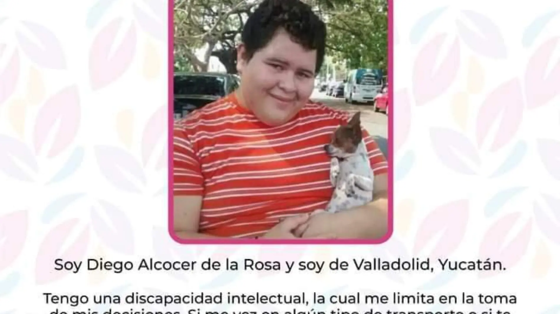 Diego Andrei Alcocer De la Rosa 2